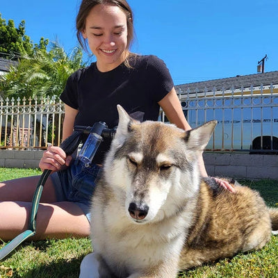 Portable Dog Washer & Shampoo Sprayer