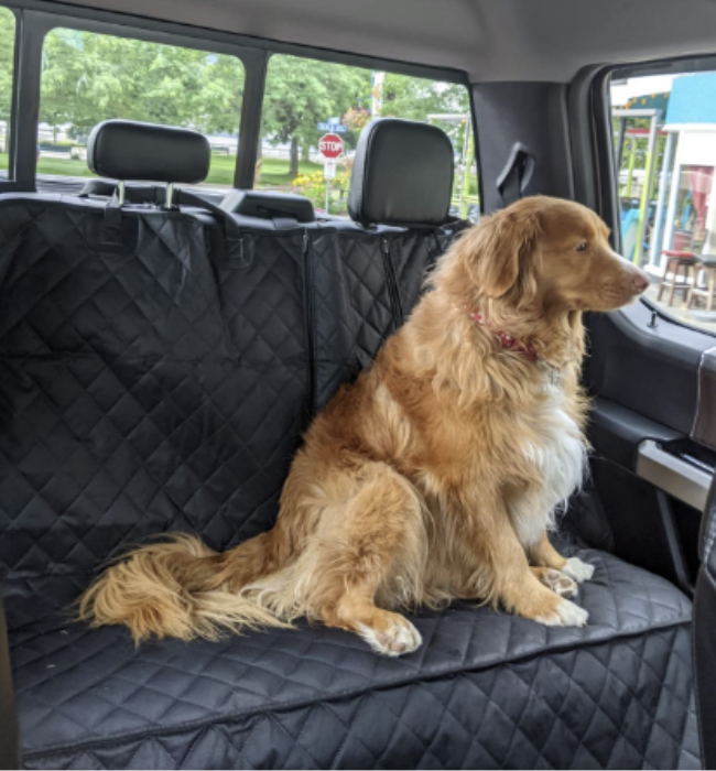 Soft Bottom Back Seat Car Cover