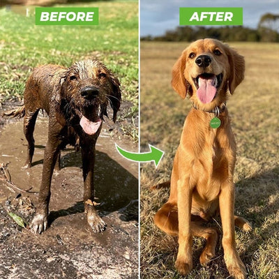 Portable Dog Washer & Shampoo Sprayer