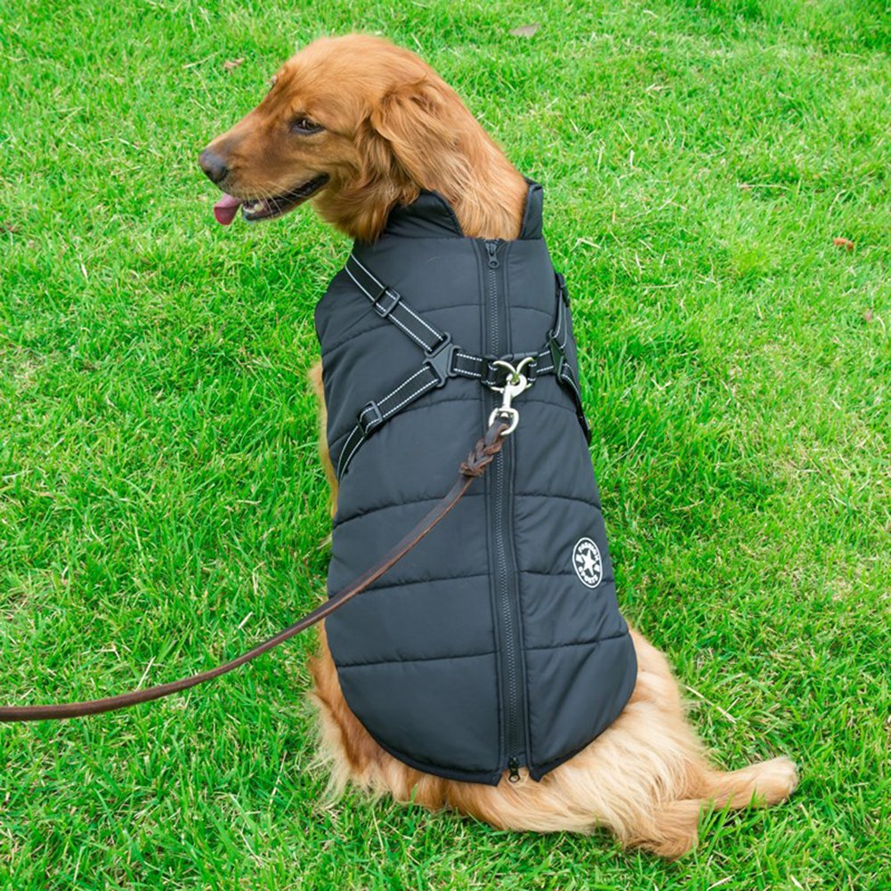 PuppyDir™ - Waterproof Winter Jacket with Built-in Harness