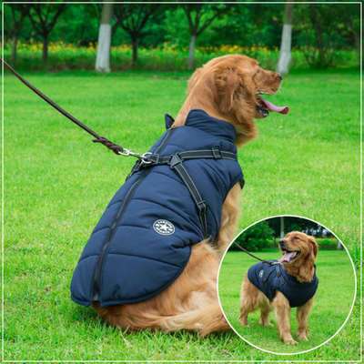 PuppyDir™ - Waterproof Winter Jacket with Built-in Harness