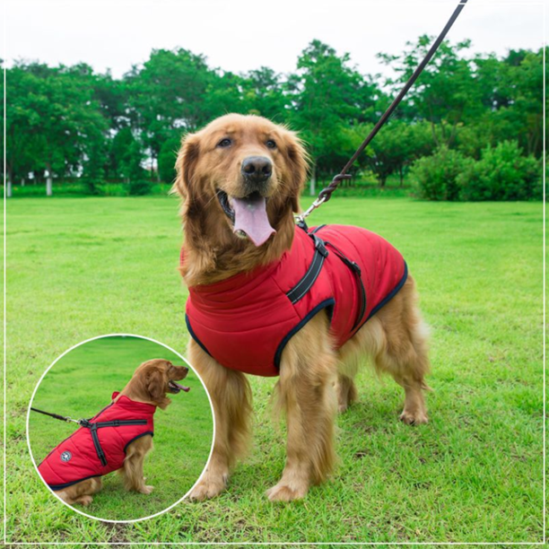 PuppyDir™ - Waterproof Winter Jacket with Built-in Harness