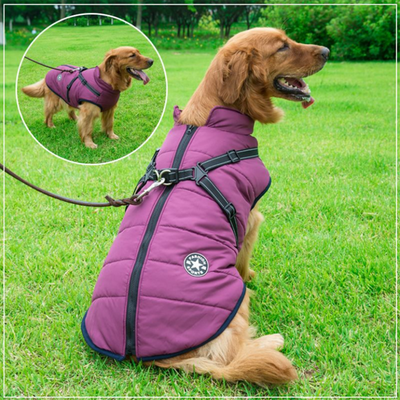 PuppyDir™ - Waterproof Winter Jacket with Built-in Harness